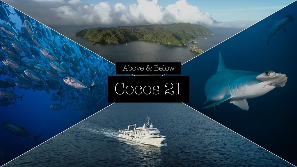 What You Need to Know Before Traveling to Cocos island